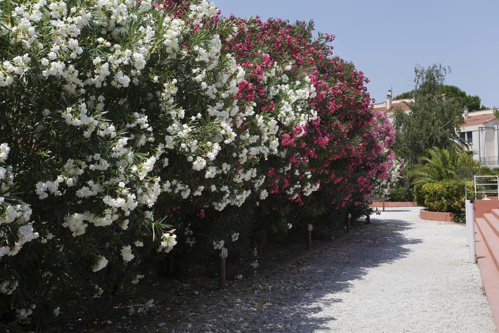 Vacancéole - Résidence Las Motas Alénya Exterior foto